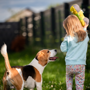 Nueva ola de evolución en los perros y cómo afecta las dinámicas familiares