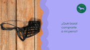 ¿Qué bozal comprarle a mi perro?