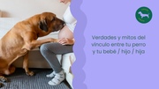 Verdades y mitos del vínculo entre tu perro y tu bebé / hijo / hija