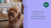 Comunicación canina en la convivencia entre perros y niños/as