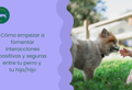 Cómo empezar a fomentar interacciones positivas y seguras entre tu perro y tu hija/hijo