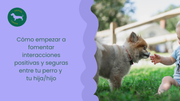 Cómo empezar a fomentar interacciones positivas y seguras entre tu perro y tu hija/hijo
