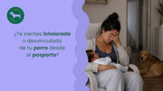 ¿Te sientes intolerada o desvinculada de tu perro desde el posparto?