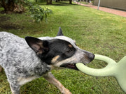 Juego de tira y afloja - Earth Rated Tug of War