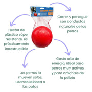 Pelota Indestructible - Company of Animals Boomer Ball